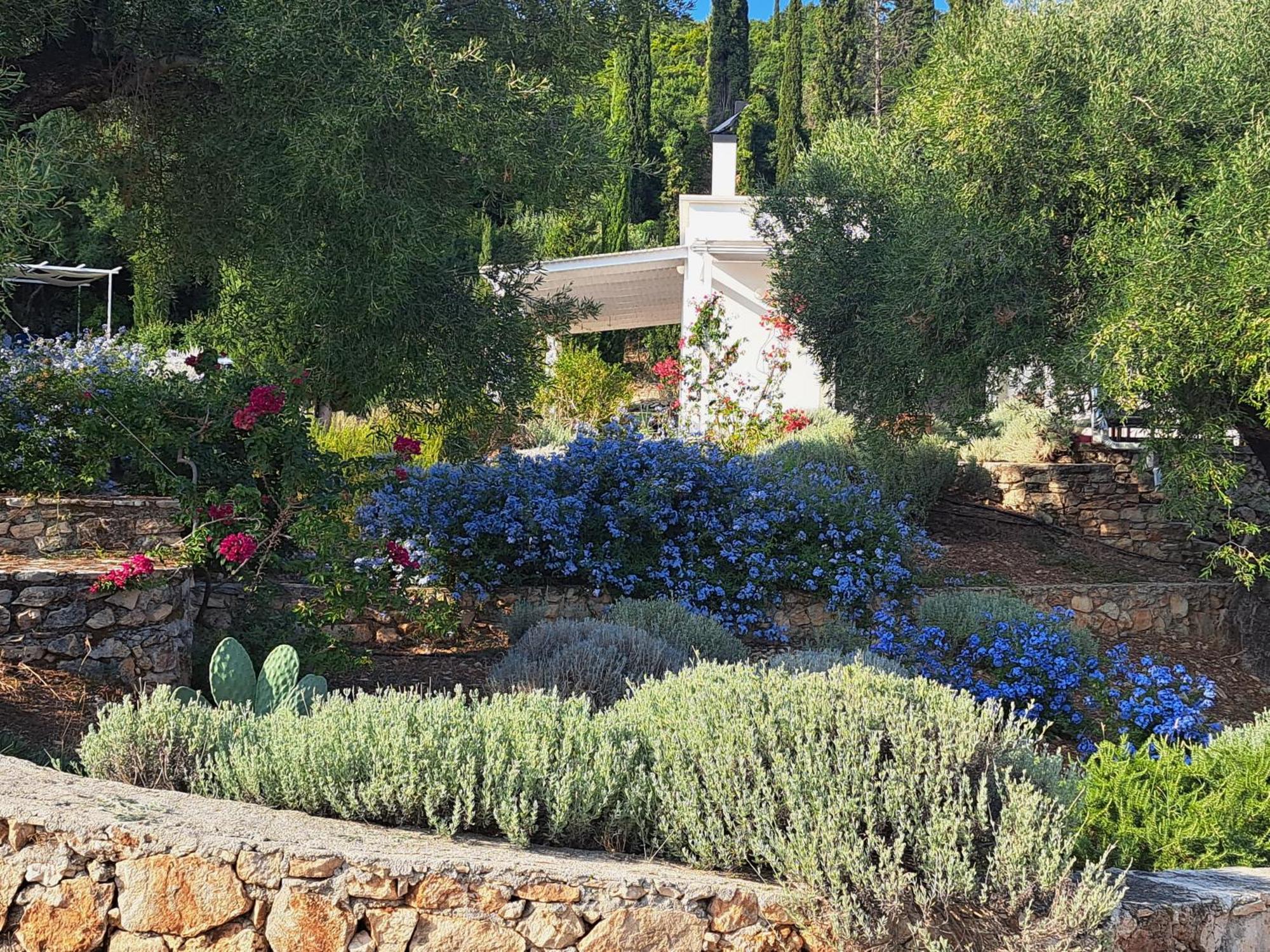 Villa Buras Skinaria Exterior photo