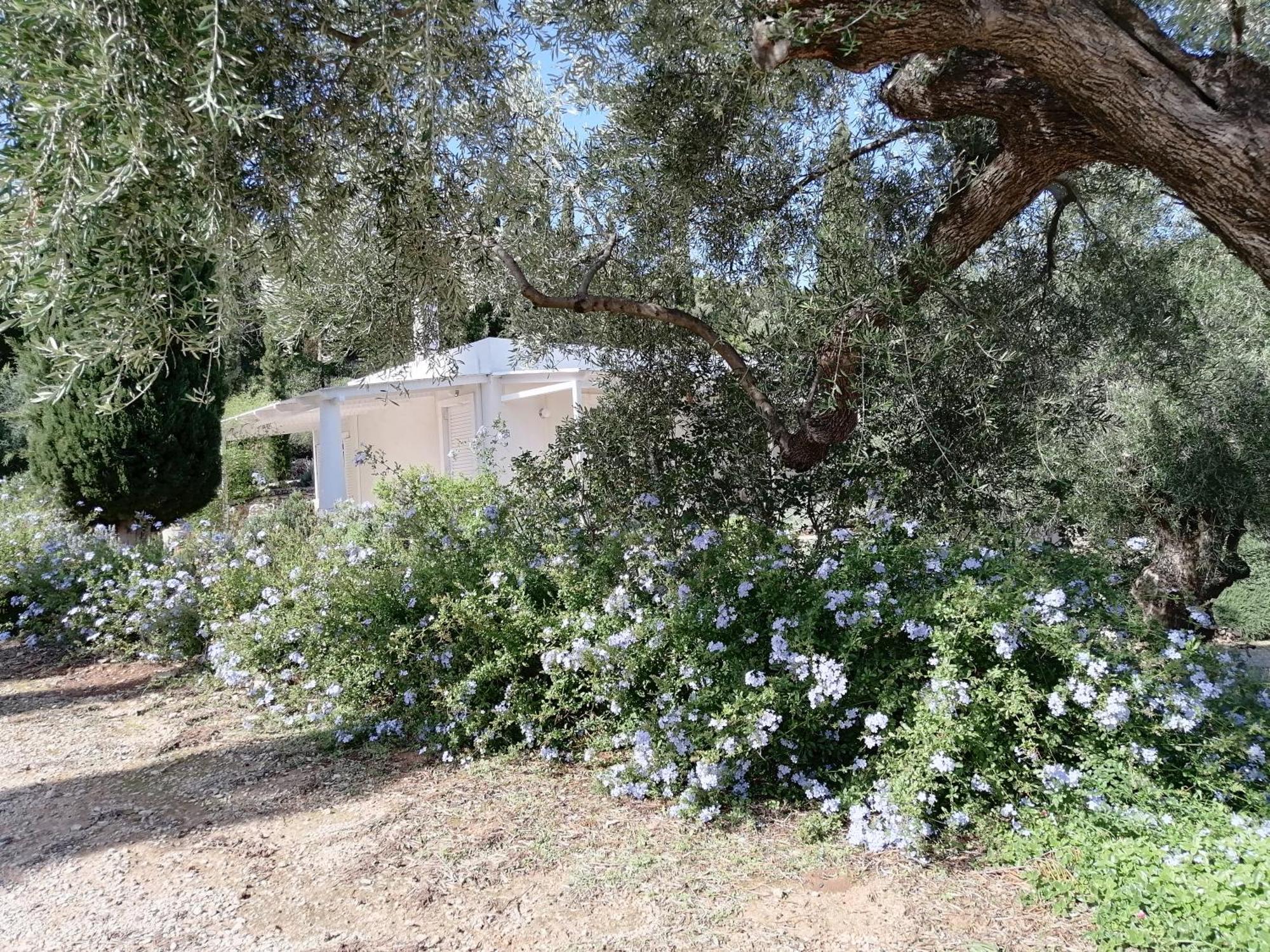 Villa Buras Skinaria Exterior photo